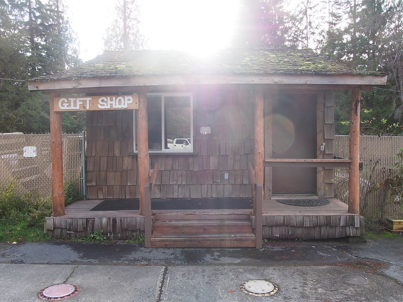 Greenwater Gift Shop: Not sure if it's actually a gift shop.