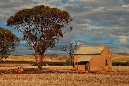 abandoned rural ruins decay farming disused southaustralia derelict midnorthsouthaustralia