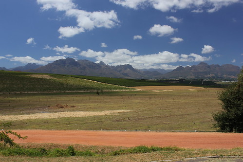 travel southafrica wine capetown vineyards