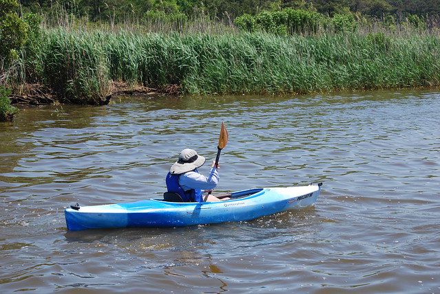 Guided kayak programs at False Cape are great for beginners. False Cape State Park in Virginia