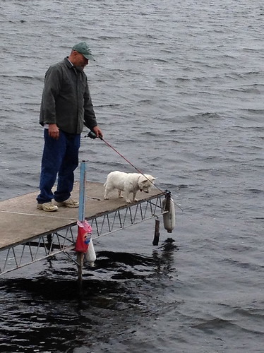 dog lake water minnesota fishing dock midwest