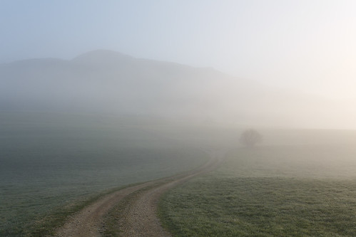 road morning mist tree art field grass fog sunrise 35mm canon austria track sigma embrace aflenz styria 5d3