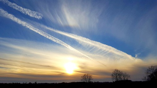 sunset countryskies country clouds sky contrails rural silhouette tree landscape fall autumn airplane ohareairport
