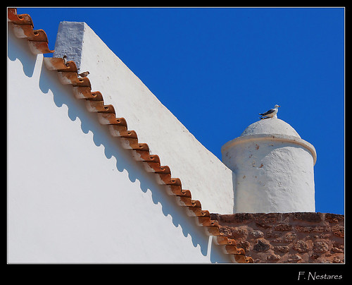 blue sky white blanco azul nikon seagull iglesia aves ibiza cielo sparrows gaviotas 2012 baleares tejas d90 gorriones