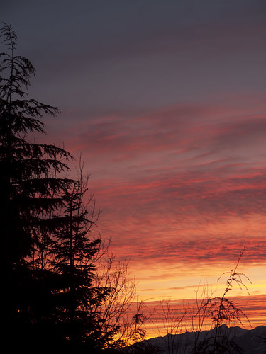 sunset canada tree silhouette whistler britishcolumbia fierysky