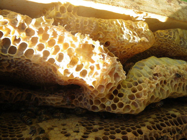 Hive getting congested