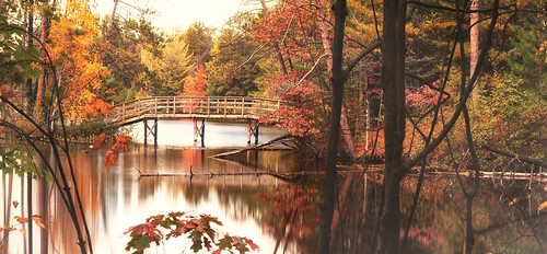 longexposure bridge autumn trees red orange mist lake color green fall yellow canon reflections peace tranquility bradleypark tomahawkwisconsin efs1755mmf28isusm canoneosrebelt1i lakemohawksin