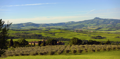 italy grass stone farmhouse grove olive hills tuscany pienza lafoce chiarentana