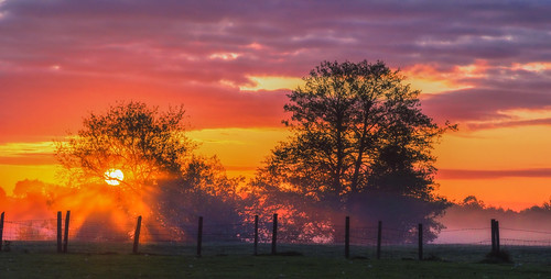 morning summer mist misty rural sunrise landscape dawn countryside nikon warwickshire alcester d7000 jactoll nikcolorefexpro4