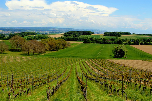 sky clouds landscape schweiz switzerland suisse vineyards fields svizzera château vaud viney romandie vullierens irisgardens jardindesiris wwwjardindesirisch