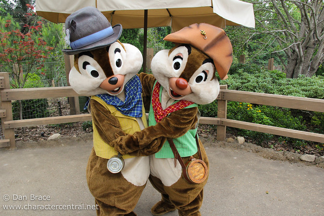 Meeting Gold Prospectors Chip and Dale!