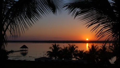 sunset palms mexico day yucatan sunny clear karibik