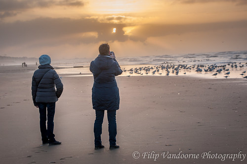 sunset sea sky beach birds clouds coast sand seagull photograph shore northsea koksijde belgiancoast