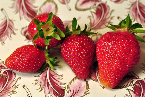 frische Erdbeere Erdbeeren mit Sahne Erdbeerzeit altes Rezept Erdbeerrezept Erdbeeren Erdbeermark eingeweckt Sütterlin Kurrentschrift Foto Brigitte Stolle 