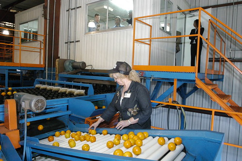 The trade dispute was resolved after AMS helped the businesses produce paper work and take the South Korean officials on tours of orange juice processing plants. USDA Photo courtesy of Ken Hammond.