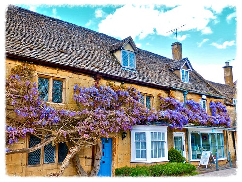 uk england history tourism architecture cottage broadway olympus cotswolds tourists architectural historic historical worcestershire highstreet wisteria touristattraction cottages stonecottage cotswoldstone honeycoloured mickyflick