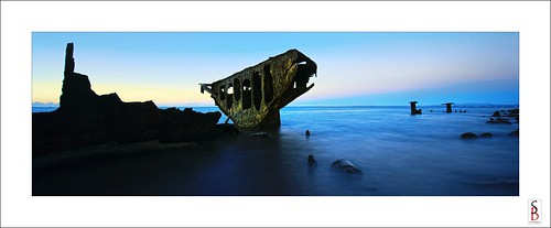 ocean seascape bird beach sunrise dawn seaside nikon ship shoreline stephen shipwreck redcliffe wreck d90 woodypoint gayundah hmqsgayundah stephenbird