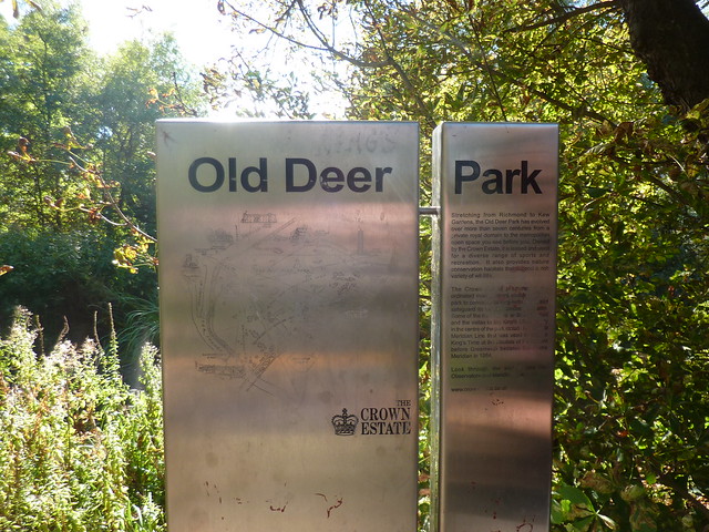 Old Deer Park