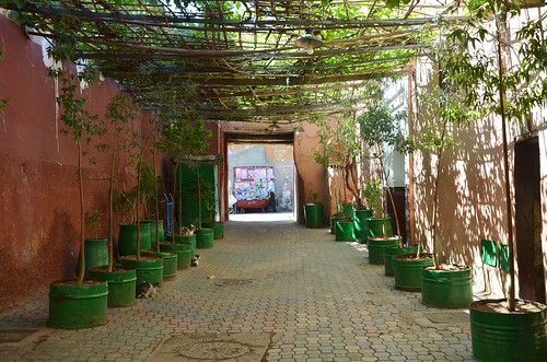 marrakech april 2014