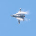 F16_Fighting_Falcon_0446.jpg