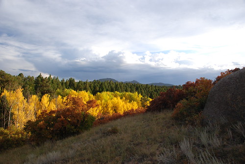 autumn trees sky orange cloud mountains tree green fall nature grass leaves yellow clouds forest rockies golden leaf colorado colorful view ground aspen coloradorockies