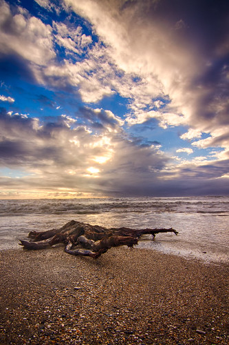 sunset newzealand beach log westcoast brucebay brucesbay