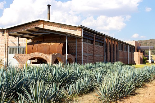 mexico tequila distillery canonefs1855mmf3556is