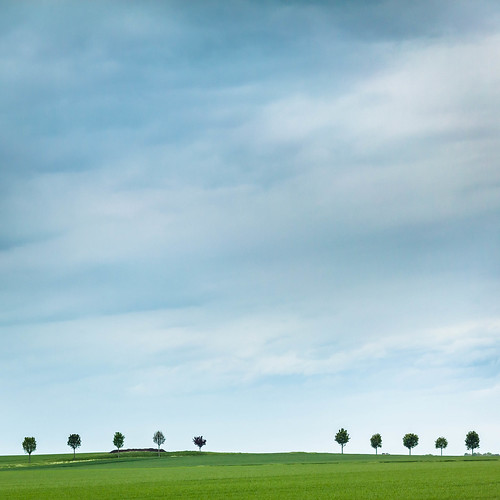 trees sky tree green grass clouds countryside champagne minimal minimalism minimalist epernay 135mmf20