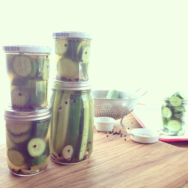 Garlic Dill Cucumber Pickles