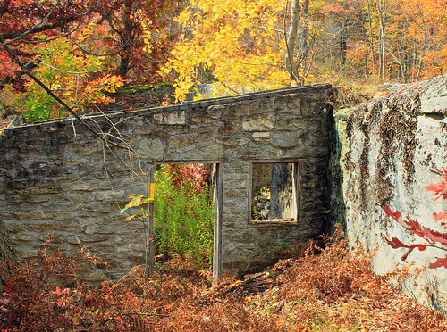 autumn trees abandoned forest ruins hiking pennsylvania creativecommons dilapidated undergrowth pennsylvaniawilds quehannawildarea clearfieldcounty moshannonstateforest kunescamptrail