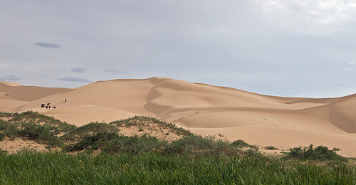 mongolia camel gobi