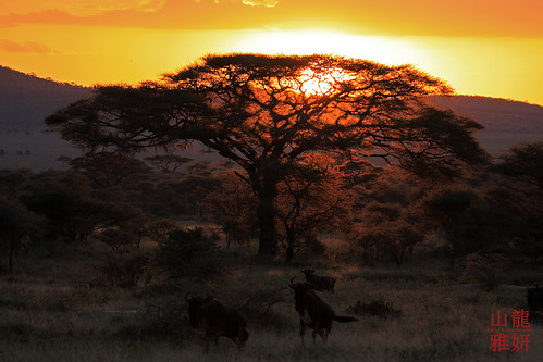 sunset tanzania safari tropicaltrails