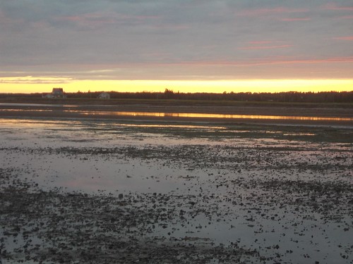 Standing on the shore at Camp Buchan, Prince Edward Island, at sunset and at low tide (3)