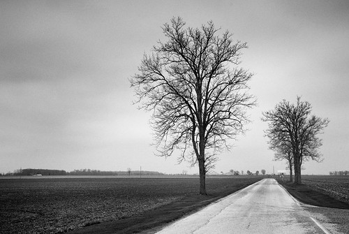 road trees winter ohio blackandwhite bw field clouds landscape overcast