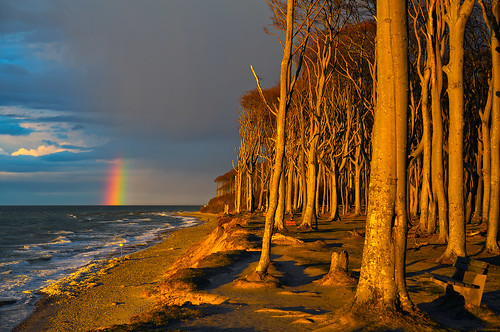 forest coast rainbow balticsea ostsee regenbogen küste mecklenburg gespensterwald