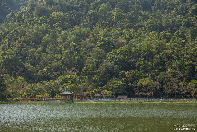 【埔里景點】台版西湖！悠閒散步的中國風埔里景點「小西湖鯉魚潭」