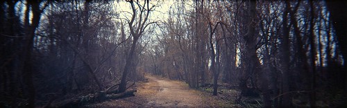 alexandria forest 35mm dark virginia holga woods path spooky holgapan135