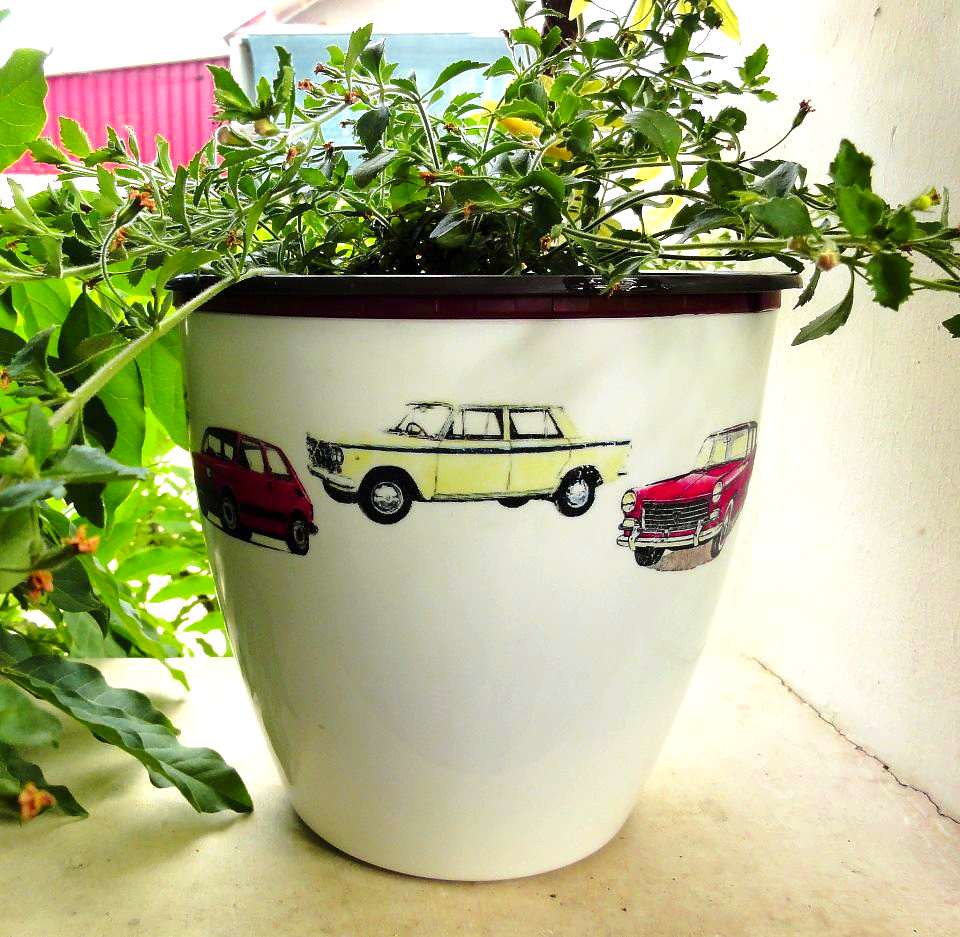 Flower pots all stars cars