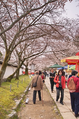 【写真】2013 桜 : 醍醐寺/2021-10-20/IMGP9024
