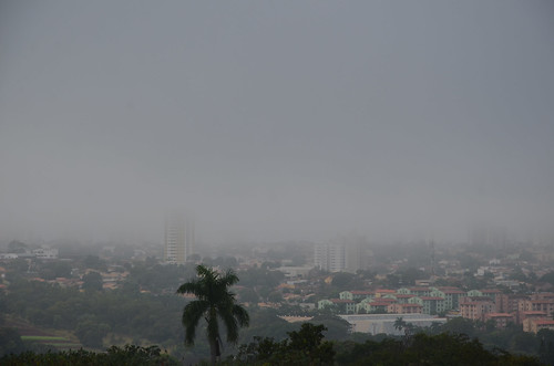 morning fog day