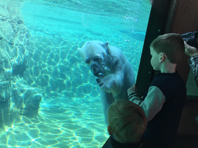Denver Zoo April 2015
