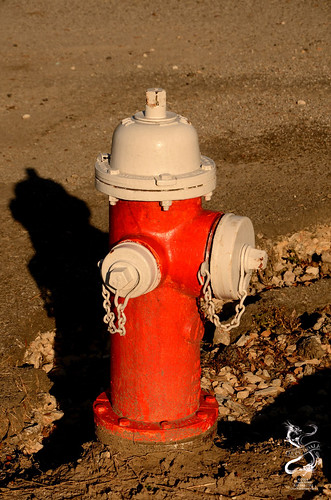 hydrant firehydrant orangefield texas adv americandarlingvalve