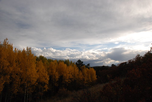 autumn trees sky mountains tree green fall nature yellow forest rockies golden colorado colorful view