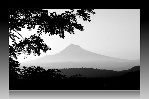 inspiration silhouette 6ws mthood layers ribbet odc bleckwhite quottree flickrlounge