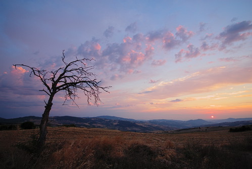 landscape dawn alba d200 paesaggio sigma1020