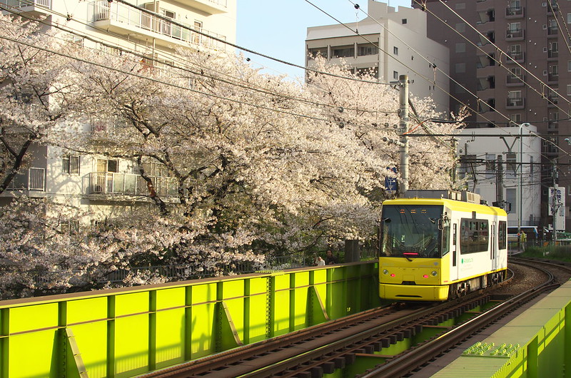 Tokyo Train Story 都電荒川線 2014年4月5日