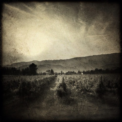 sunset summer sky blackandwhite love clouds square blackwhite scenic squareformat serendipity emotions iphone vittorioveneto iphoneography instagramapp uploaded:by=instagram iphone4s foursquare:venue=4ba072d3f964a520226e37e3
