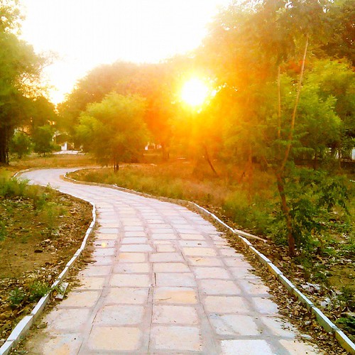 park sunset summer square evening warm walks exercise path daily cobblestones walkway squareformat routine flagstones iphoneography instagramapp uploaded:by=instagram