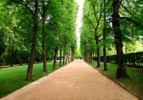 trees alley path parc hofgarten ansbach