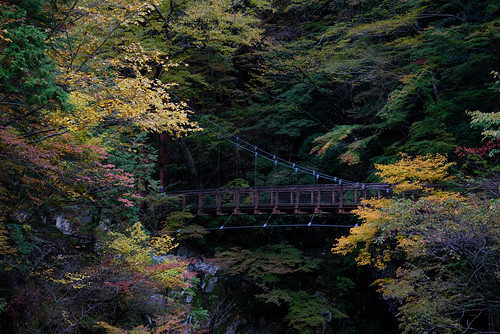 吉野郡 奈良県 japan 天川村 みたらい渓谷 渓谷 valley autumnleaves 紅葉 橋 bridge